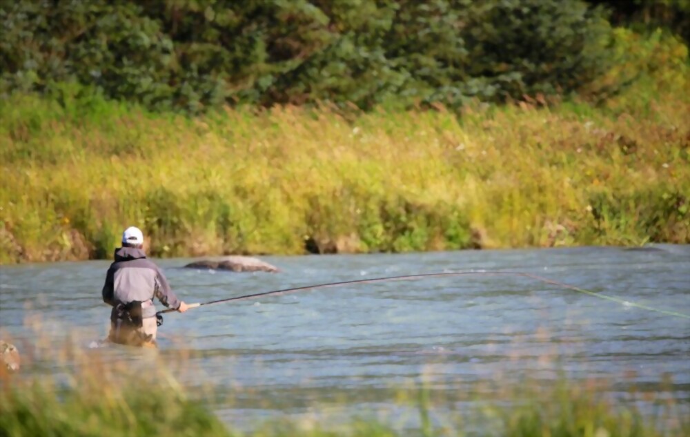 Unlock the Thrills of Alaska's Waters: How to Obtain Your Fishing ...
