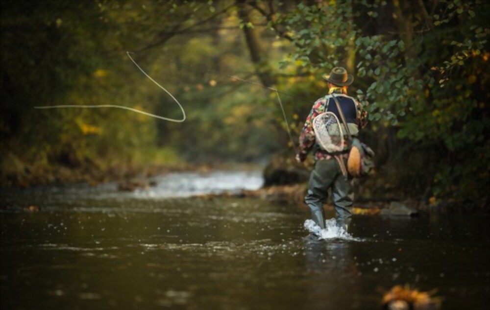 colorado fishing