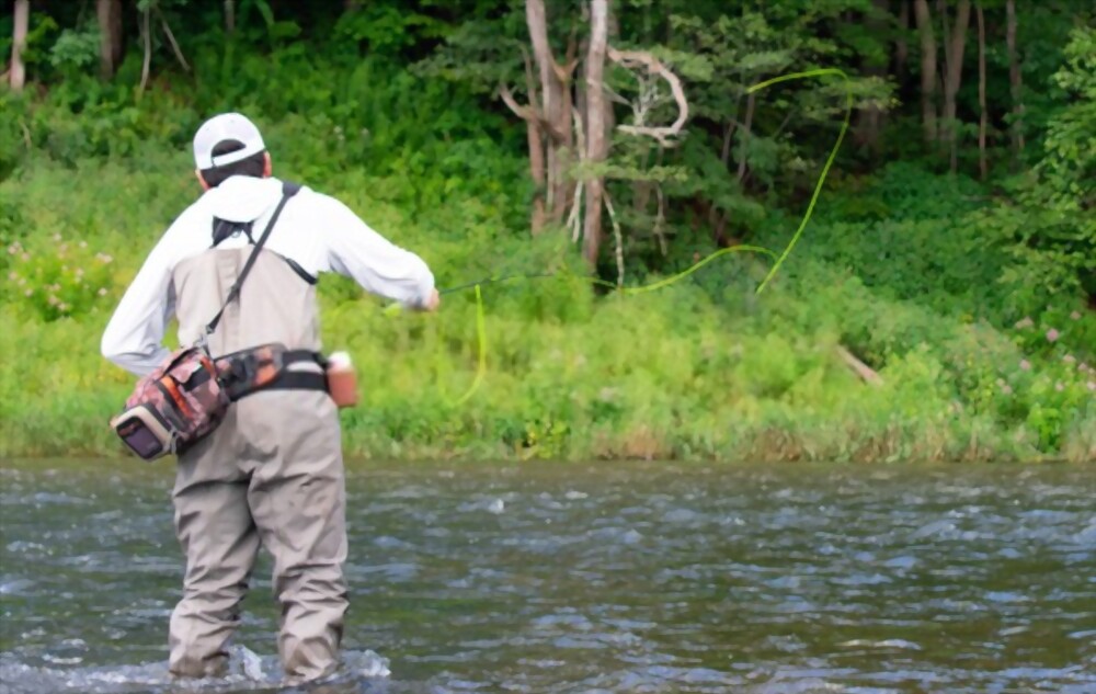 Exploring Delaware's Fishing License A Key to Unlocking the State's