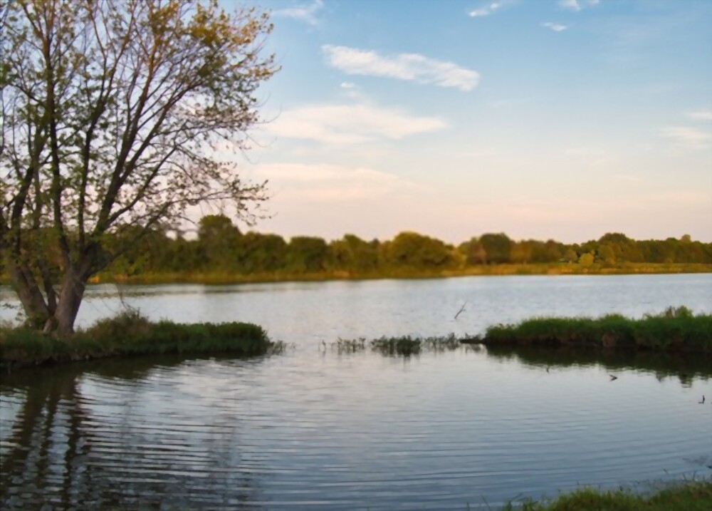 kansas pond