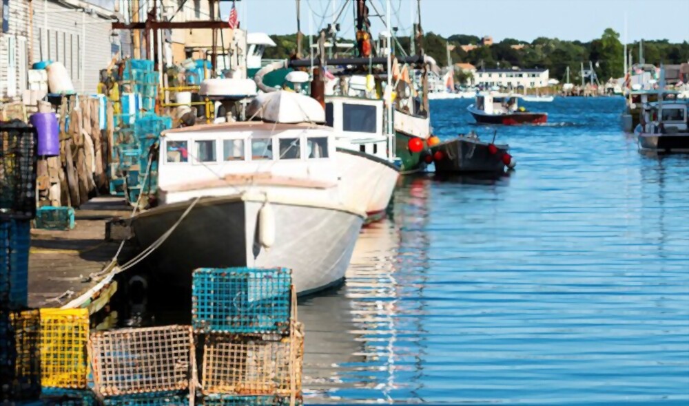 maine fishing