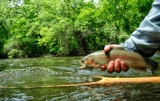 Exploring New Jersey’s Fishing License Requirements: A Comprehensive Overview
