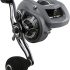 Discover the power and precision of the Penn Fierce III reel. Unleash your fishing potential with this top-rated option.