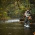 The Ultimate Guide to Getting a Connecticut Fishing License: Everything You Need to Know