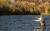 Fishing in California: A Step-by-Step Guide to Obtaining and Maximizing Your Fishing License