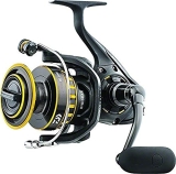 Compare two of the top spinning reels on the market: Daiwa Eliminator and BG. Discover which one is right for you!