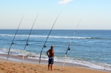 The Ultimate Review Of The Daiwa Ec 1202 HFB Surf Fishing Rod: Is It Worth The Investment?